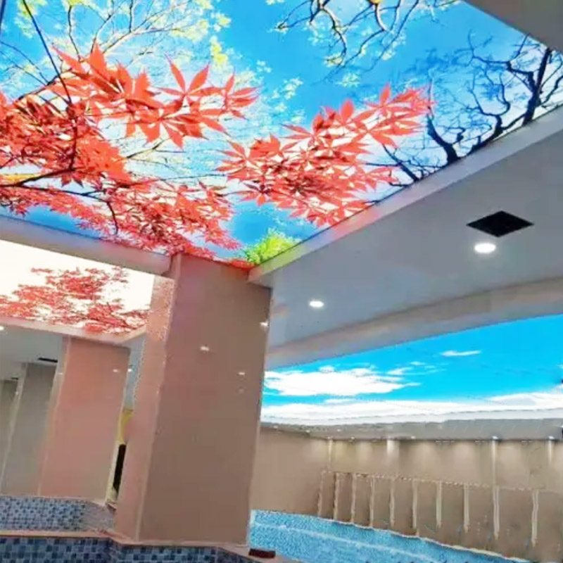 Printing Ceiling