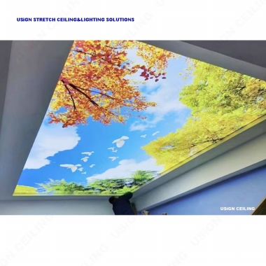 Printing Ceiling