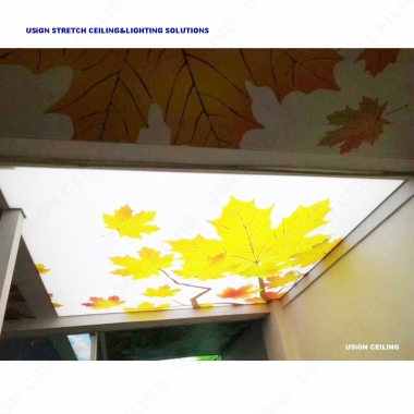 Printing Ceiling