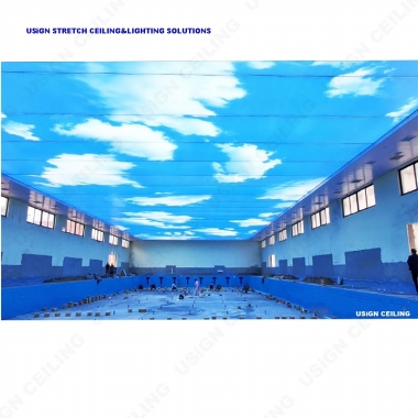Printing Ceiling