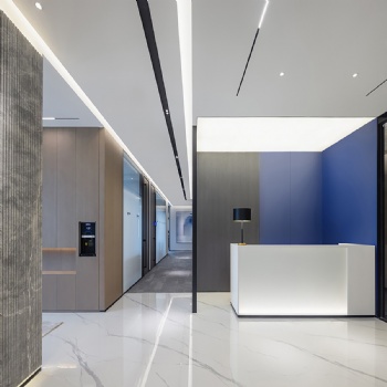 STRETCH CEILING AND TRACK LIGHTING SYSTEM